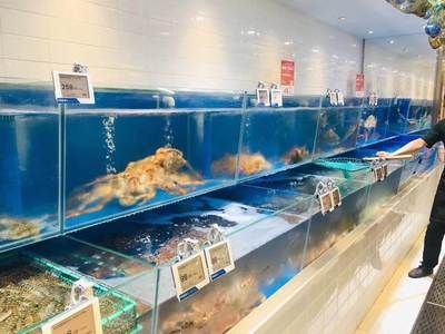 長沙水族批發(fā)市場：長沙水族批發(fā)市場在哪里