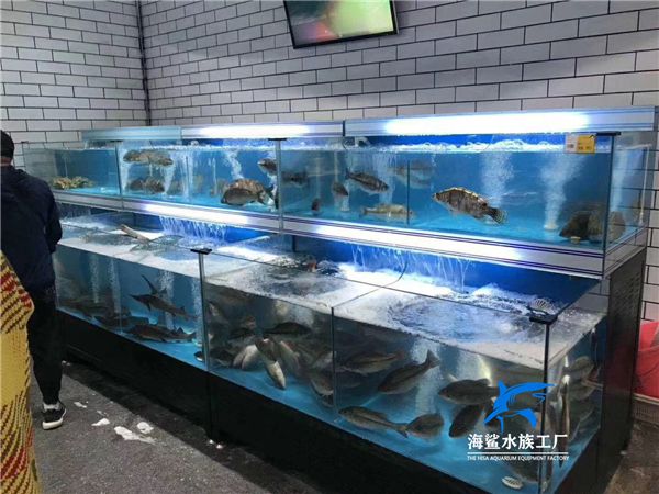 長沙水族批發(fā)市場：長沙水族批發(fā)市場在哪里