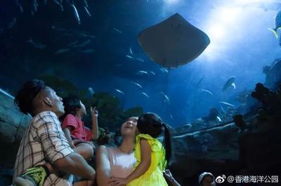 百色水族館：廣西百慕大水族館百色水族館開放時間評價百色水族館 全國觀賞魚市場 第2張