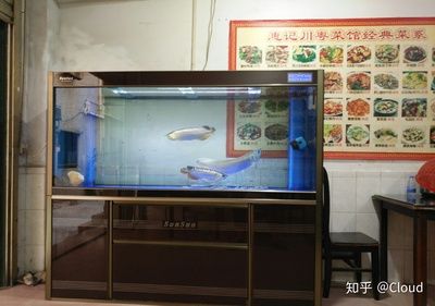 西龍魚缸質(zhì)量怎么樣知乎：西龍魚缸與其他品牌的對(duì)比西龍魚缸價(jià)格區(qū)間查詢 魚缸百科 第4張