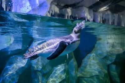 淮北水族館：安徽淮北水族館