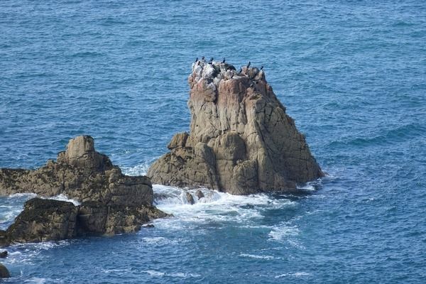 南充魚(yú)缸批發(fā)市場(chǎng)：南充最大海鮮魚(yú)缸批發(fā)市場(chǎng)在哪里 全國(guó)觀賞魚(yú)市場(chǎng) 第6張