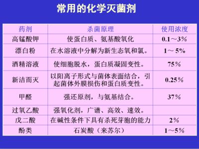 金龍魚擺件風水功效：金龍魚擺件是否能夠招財進寶和增強家庭和諧的風水功效 水族問答 第1張