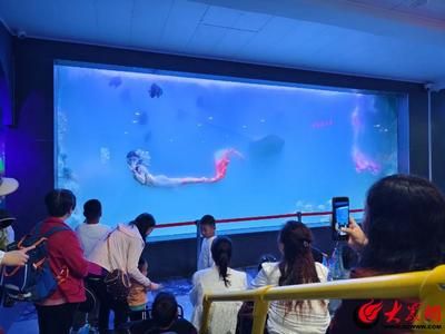 東營(yíng)水族館：東營(yíng)區(qū)羅龍?zhí)盟屦^ 全國(guó)觀賞魚市場(chǎng) 第1張