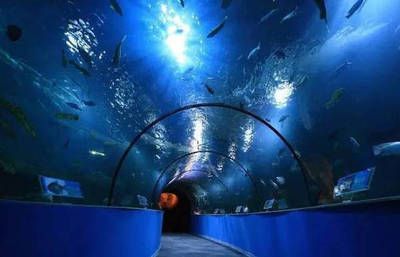 蘇州水族館：蘇州旅游攻略之蘇州海洋館