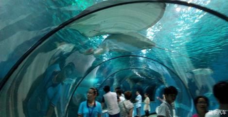 蘇州水族館：蘇州旅游攻略之蘇州海洋館