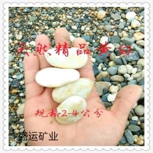 內(nèi)江魚缸批發(fā)市場：內(nèi)江魚缸批發(fā)市場在哪個位置