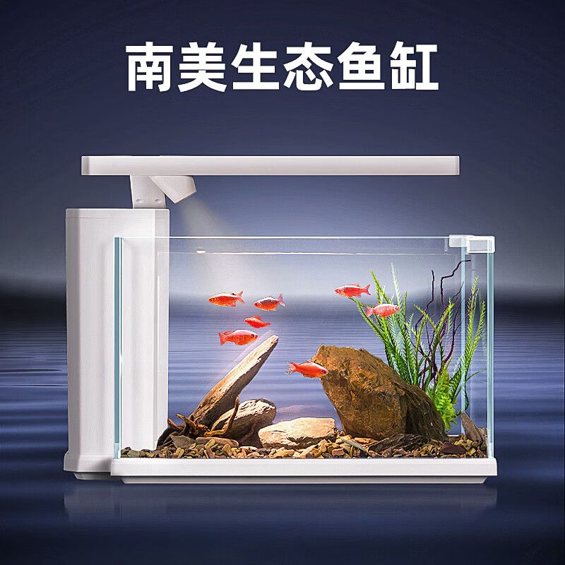 索一水族的魚缸怎么樣：索一水族公司的魚缸產(chǎn)品 魚缸百科 第3張