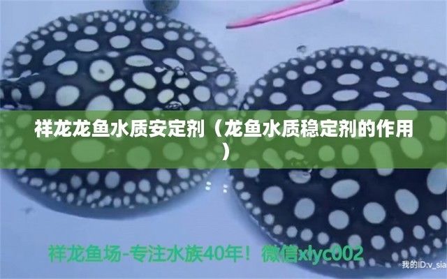 龍魚(yú)水質(zhì)穩(wěn)定劑的作用 龍魚(yú)百科 第2張