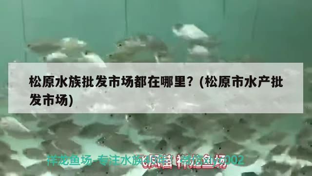 廣元水族批發(fā)市場：廣元水族批發(fā)市場價格對比廣元水族批發(fā)市場價格對比