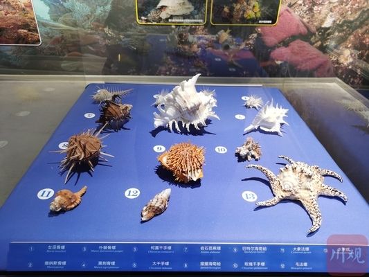 資陽水族館 全國觀賞魚市場 第2張