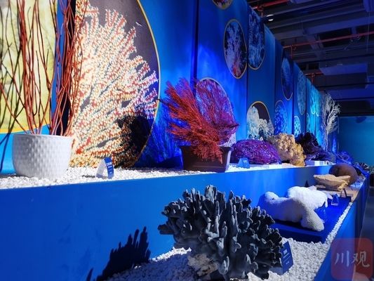 資陽水族館 全國觀賞魚市場 第1張