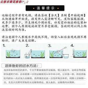 龍魚怎么打包裝：龍魚打包后如何護理龍魚運輸存活率提升方法 龍魚百科 第5張