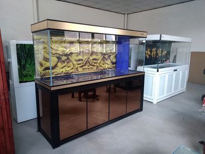 石嘴山龍魚專賣店：石嘴山水族批發(fā)市場 全國觀賞魚市場 第4張