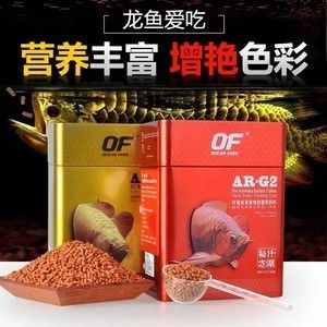 印尼小紅龍魚天然餌料推薦：印尼小紅龍魚喂食頻率研究，小紅龍魚飼料與活餌對比 紅龍魚百科 第1張