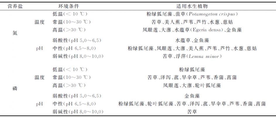 金龍魚參觀：關(guān)于金龍魚的五個疑問 水族問答 第2張