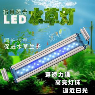 魚缸led燈推薦：魚缸led燈推薦：佳倍德led燈適用場景佳倍德led燈 魚缸百科 第2張