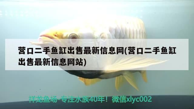 營口魚缸批發(fā)市場：營口魚缸批發(fā)市場在哪