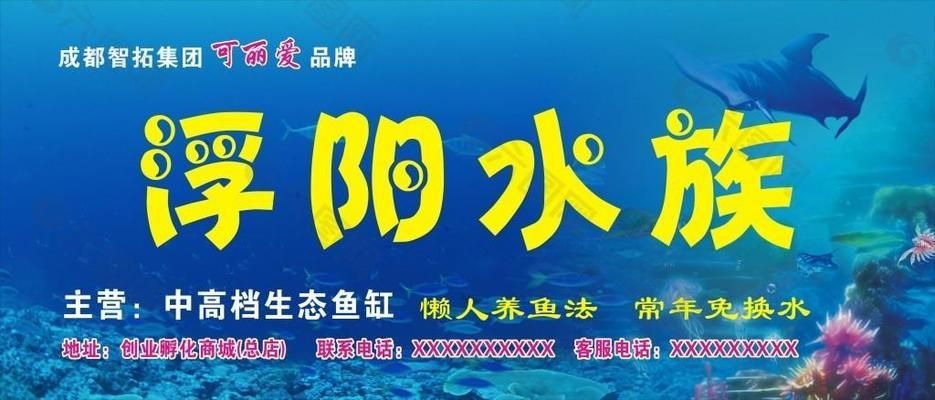 揭陽龍魚專賣店：揭陽龍魚專賣店如何選擇 全國觀賞魚市場 第2張