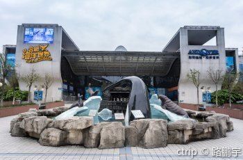 合肥水族館：合肥市漁人碼頭水族館 全國觀賞魚市場 第9張