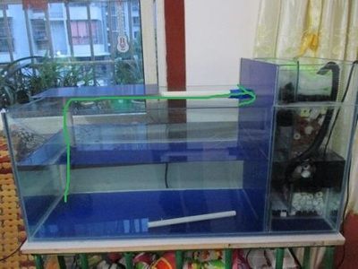 成品魚缸蓋子怎么拆視頻：成品魚缸蓋子怎么拆 魚缸百科 第1張