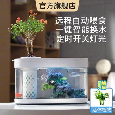 小米魚缸換水管：如何正確更換小米魚缸的水管 魚缸百科 第5張