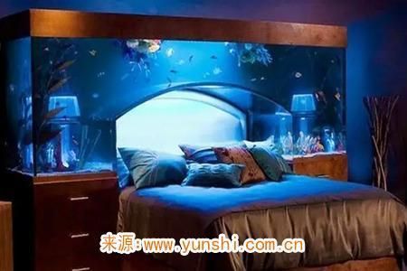 床邊放魚缸養(yǎng)魚好嗎：床邊放魚缸養(yǎng)魚的風(fēng)水考量，影響睡眠質(zhì)量，魚缸風(fēng)水布局科學(xué)依據(jù) 魚缸百科 第1張