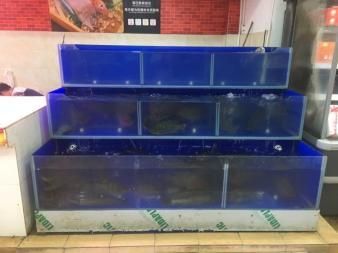 高級(jí)水族箱魚(yú)缸安裝視頻 魚(yú)缸百科 第4張