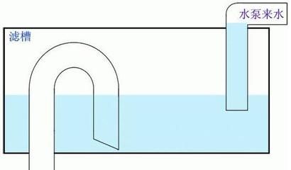魚(yú)缸虹吸原理圖視頻講解：魚(yú)缸虹吸原理圖視頻講解魚(yú)缸虹吸排水原理圖講解 魚(yú)缸百科 第5張