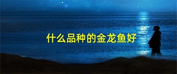 過背金龍魚能吃嗎有毒嗎會(huì)死嗎圖片：關(guān)于過背金龍魚的介紹 金龍魚百科 第5張