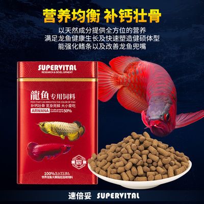 金龍魚飼料增色增紅效果：關于金龍魚飼料增色增紅效果的詳細分析