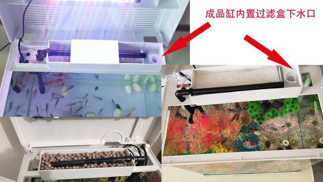 魚缸濾盒使用方法：如何判斷魚缸濾盒過濾效果 魚缸百科 第3張