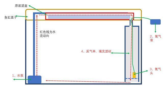 魚缸濾盒使用方法：如何判斷魚缸濾盒過濾效果 魚缸百科 第5張