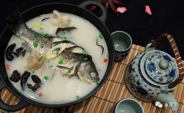 金龍魚(yú)吃多少會(huì)飽：關(guān)于金龍魚(yú)的喂養(yǎng)問(wèn)題 水族問(wèn)答 第1張