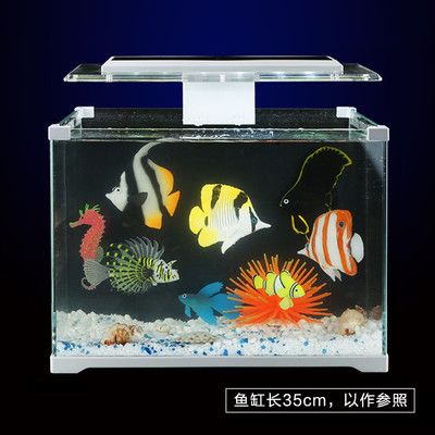 森森水族箱魚缸價(jià)格：森森水族箱適合養(yǎng)哪些魚類