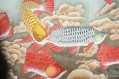 金龍魚(yú)游姿異常原因：金龍魚(yú)游姿異?？赡苡啥喾N因素引起 金龍魚(yú)百科 第3張