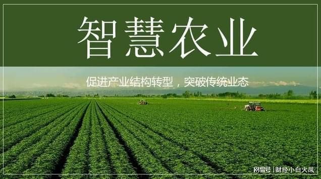 金龍魚吃啥長得快：金魚在什么情況下生長最快？ 水族問答 第2張