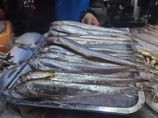 金龍魚吃什么變色快一點：如何通過調(diào)整金龍魚的日常飲食來加速它們的皮膚顏色變化過程？ 水族問答 第2張