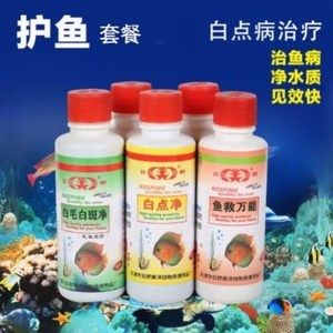 龍魚萬能藥水發(fā)黃：龍魚萬能藥水發(fā)黃怎么辦 龍魚百科 第3張