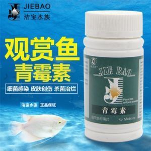 魚缸里有菌了放什么藥：魚缸中出現(xiàn)菌類問題時應采取適當?shù)乃幬锾幚矸椒? title=