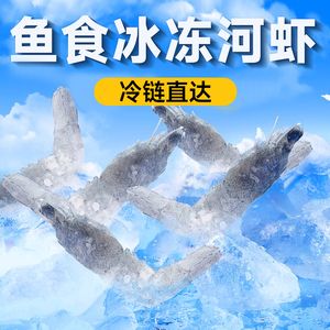 雷龍魚吃什么飼料最便宜：探索雷龍魚的營養(yǎng)需求與經(jīng)濟(jì)飼料選擇 龍魚百科 第5張