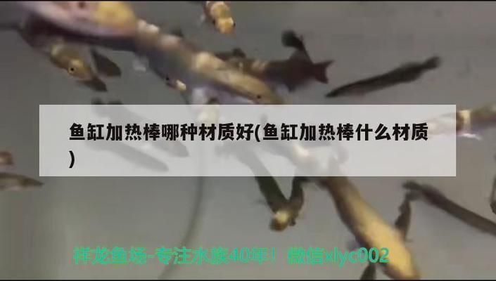 品牌魚缸加熱棒排名前十有哪些：品牌魚缸加熱棒排名前十的詳細(xì)信息：松寶/yee 魚缸百科 第5張