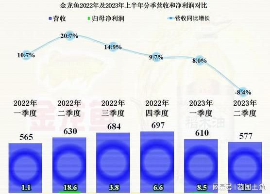 龍魚和金龍魚區(qū)別：龍魚與金龍魚的區(qū)別 金龍魚百科 第4張