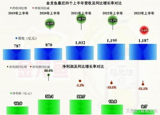 龍魚和金龍魚區(qū)別：龍魚與金龍魚的區(qū)別