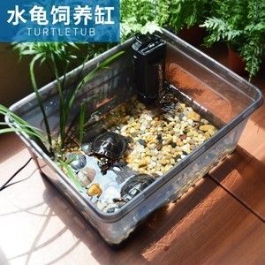 六角恐龍魚魚缸專用：六角恐龍魚缸養(yǎng)殖技巧六角恐龍魚缸清潔方法 魚缸百科 第4張