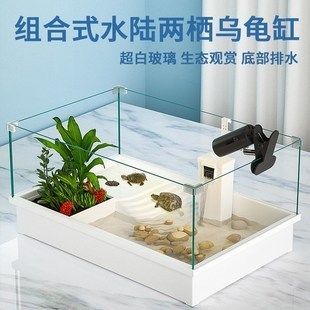 六角恐龍魚魚缸專用：六角恐龍魚缸養(yǎng)殖技巧六角恐龍魚缸清潔方法 魚缸百科 第2張