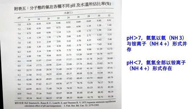 魚(yú)缸氨氮檢測(cè)頻率建議：關(guān)于魚(yú)缸氨氮檢測(cè)頻率建議 魚(yú)缸百科 第1張