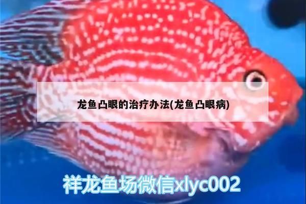 龍魚眼上長白膜用什么藥治好：龍魚水質改善的具體措施 龍魚百科 第4張