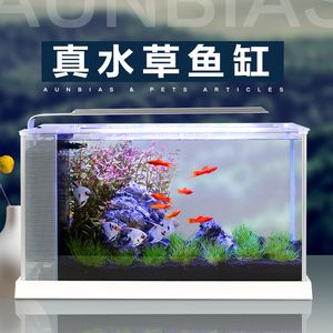 小魚未來智能魚缸怎么樣：小魚未來智能魚缸 魚缸百科 第2張