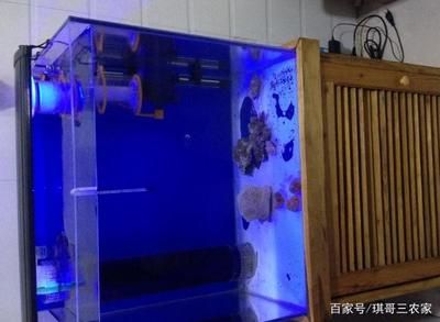 魚缸過濾棉怎么擺放圖解：如何正確擺放魚缸過濾棉 魚缸百科 第1張